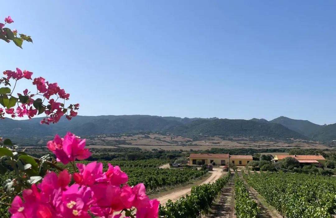 Agriturismo Campesi casale tra le vigne-1